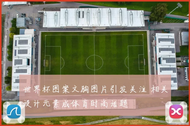 世界杯图案文胸图片引发关注 相关设计元素成体育时尚话题