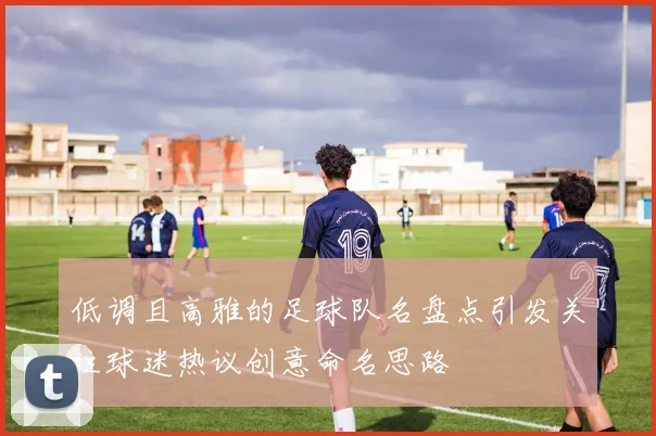 低调且高雅的足球队名盘点引发关注球迷热议创意命名思路