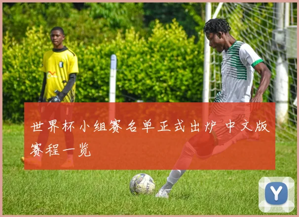 世界杯小组赛名单正式出炉 中文版赛程一览
