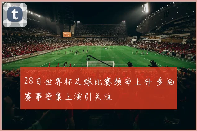28日世界杯足球比赛频率上升 多场赛事密集上演引关注