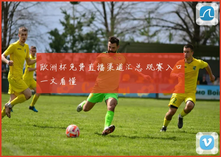 欧洲杯免费直播渠道汇总 观赛入口一文看懂